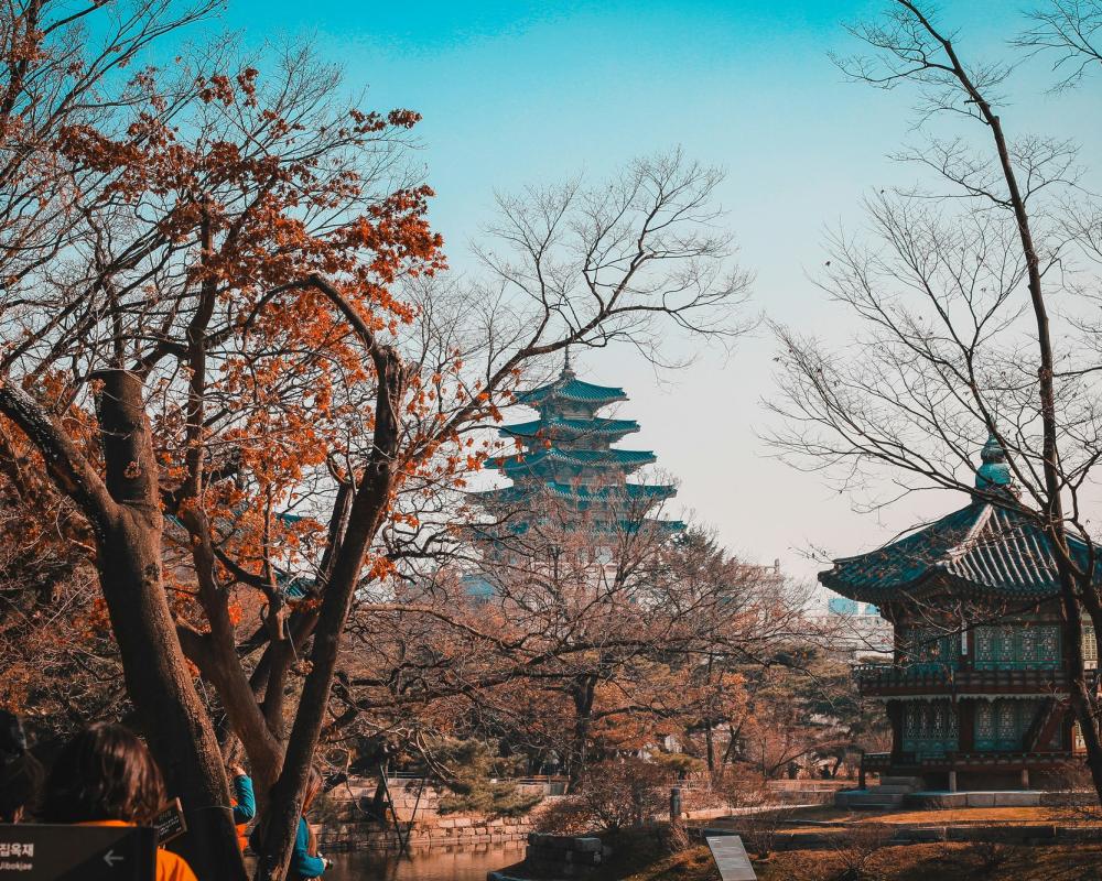 Tour Corea del Sur